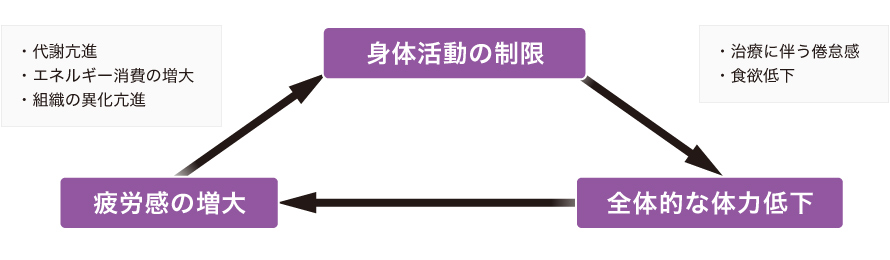 サイクル