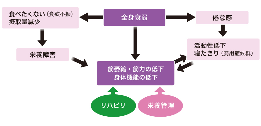 緩和的リハビリ
